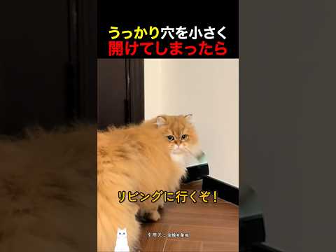 うっかり穴を小さく開けてしまったら