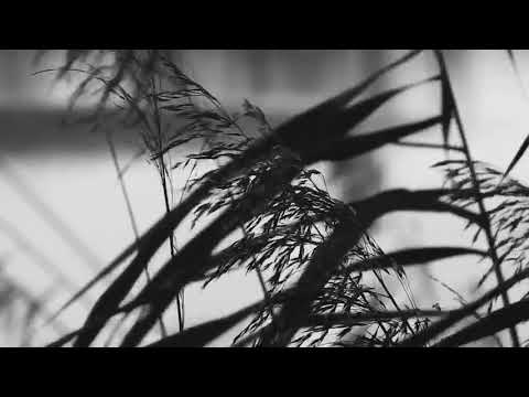 Zanzi Music Composer