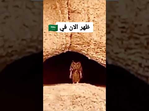 هذا ظهر الان في السعودية أمام الاف المسلمين وأنتم غافلون #علامات_الساعه #العراق #المغرب