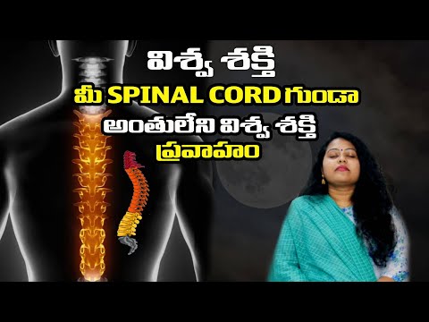 విశ్వ శక్తి మీ SPINAL CORD  గుండాఅంతులేని విశ్వ శక్తి ప్రవాహం  || OURDREAM || MERRY ||