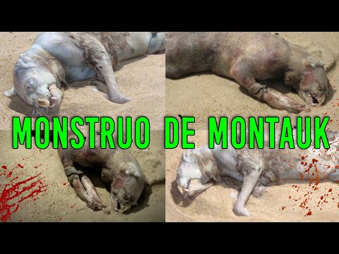 MONSTRUO DE MONTAUK | Criptozoologia