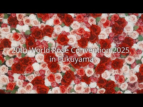 A world of rose enthusiasts join in Japan’s Rose City, Fukuyama | JNTO