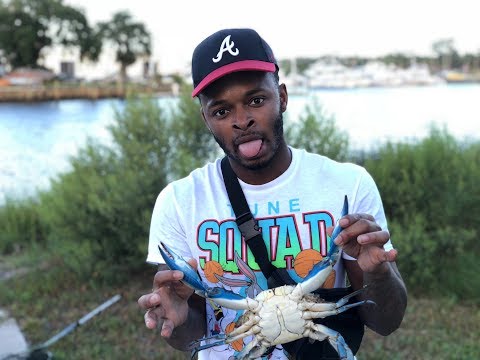 BLUE CRAB CATCH CLEAN AND COOK!!