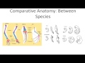 Evolutionary Biology Concepts