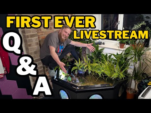 Impromptu first LIVESTREAM loads of questions answ We have finally sorted out the internet connection in the new fish garage so we can now do regular l