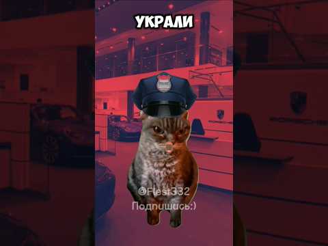 Котик подрался с полицейским котиком Мой тг:Flest#кот #котики #флест#рек#реки #хочуврек#рекомендации