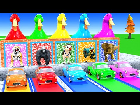 Long Slide Game with Cow Elephant Gorilla Hippopotamus Tiger 3d Animal Game Funny 3d Animals