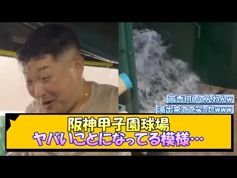 阪神・甲子園球場、ヤバいことになってる模様…【なんJ/2ch/5ch/ネット 反応 まとめ/阪神タイガース/岡田監督/横浜denaベイスターズ】