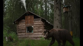 МЕДВЕДЬ ХОДИТ ВОКРУГ ИЗБЫ. НАШЁЛ КОВАНЫЙ НОЖ! ЖИВУ В ТАЙГЕ. ОБ ОХОТНИЧЬЕЙ ИЗБЕ ЦАРСКОГО ВРЕМЕНИ.