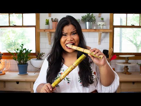 Trying Raw Sugar Cane For the FIRST TIME with Jen Phanomrat!