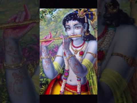 Accepting everything with ❤️|| Tere Naam Se Jee Loon 🧿🦚🙏||Krishna Status ✨ #radhekrishnaa #krishnaji