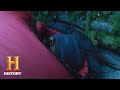 Survival Experience Reflections
