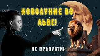Новолуние во льве! Не пропусти!