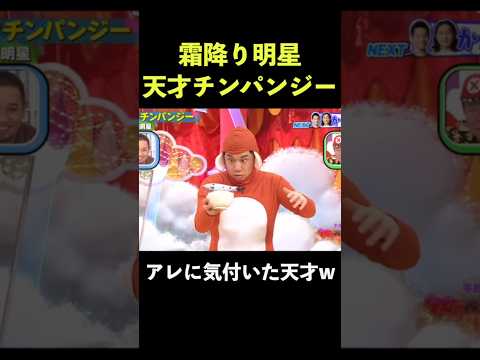 天才チンパンジーがアレに気付く #クセスゴ #霜降り明星