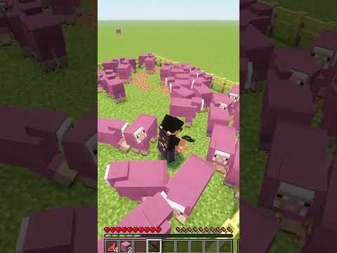 A OVELHA PEGOU A MUIE DE SURPRESA KKKKKKKK
