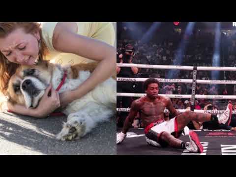 ERROL SPENCE vs TERENCE CRAWFORD WAS LIKE WATCHING YOUR FAVORITE DOG GET HIT BY CAR