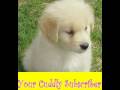 yourcuddlysubscriber
