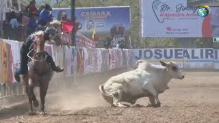 Turno 1 Jose Daniel Chacon en la gran final de la Copa America de Coleo