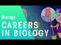 Careers in Biology and Engineering