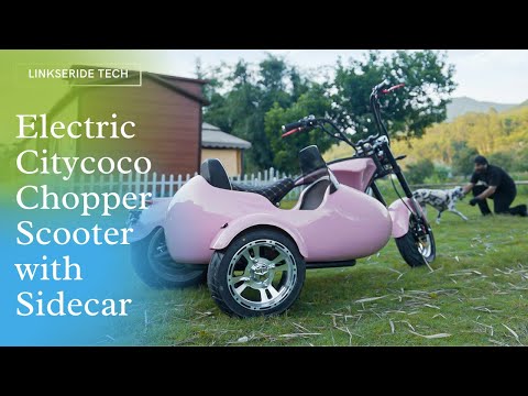 Electric Scooter Citycoco Chopper Scooter with Sidecar
