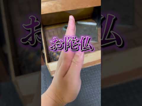 リクガメのおしっこがケージの外に漏れてしまっていました…