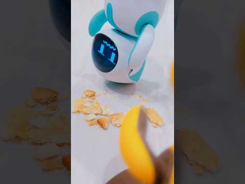 Eilik DQ use the blue eilik as a broom #robot #energizelab #eilik