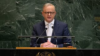 ‘So many pokes in the eye’: Albanese government has successfully ‘antagonised’ the US