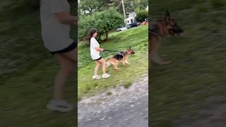 German shepherd runs with Mom