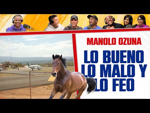 AEROPUERTO PARA EL SUR DEL PAÍS - El Caballo como Raza Nacional