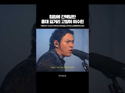 힙합에 간택당한 <strong>홍대</strong> 길거리 고양이 이수린