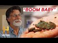 Oak Island Lot 8 Discoveries Quiz