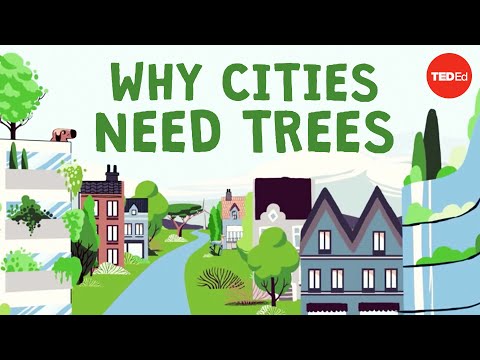 What happens if you cut down all of a city's trees? - Stefan Al pic
