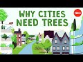 The Role of Trees in Urban Development