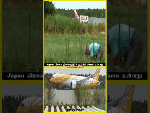 #shorts Japan விமான நிலையத்தின் நடுவில் Farm உள்ளது😱😱😱#ytshorts #japan #airport #japanese #tamil