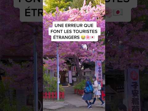 Une erreur que font les touristes étrangers au Japon ...