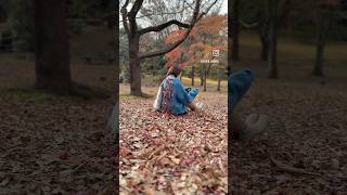 🐿️🍁💛