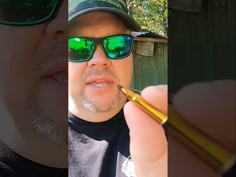 Do you think 17hmr is good?