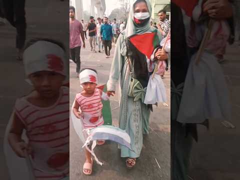 ফিলিস্তিনের আকাশ থেকে কান্নার আওয়াজ শুনতে পাই #shortvideo #duet #palestine #israel