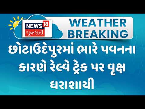 Chotaudepur Tree Collapsed |  છોટાઉદેપુરમાં ભારે પવનના કારણે રેલ્વે ટ્રેક પર વૃક્ષ ધરાશાયી | News18