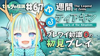 【＃週間ゆるティアキン】モルドラジークってやつが砂漠にいると聞きました#67【竜田万秋/Vtuber】