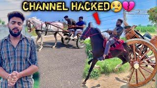 😭M€RA CHANNEL @abhinavhoon  HACK H0 GY@ 💔AP&ARA K! NEW RATH K! TRAINING START KRD!🔥