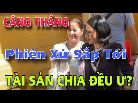 Căng Thẳng Phiên Xử Sắp Tới Hồng Loan Liệu Có Dành Được Những Gì Cố Nghệ Sĩ Vũ Linh Để Lại?