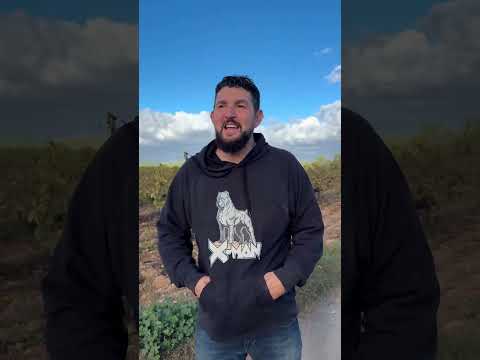 Vaya sorpresa IA #ia