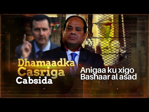 Dhmaadka Casriga Cabsida Dunida Muslimka | Qirashada Siisii in uu Baqaayo