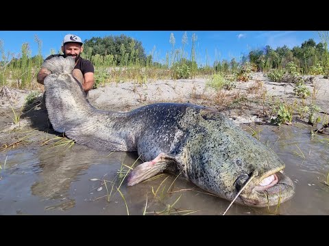 Siluro gigante a Spinning sul fiume Po in piena by Yuri Grisendi