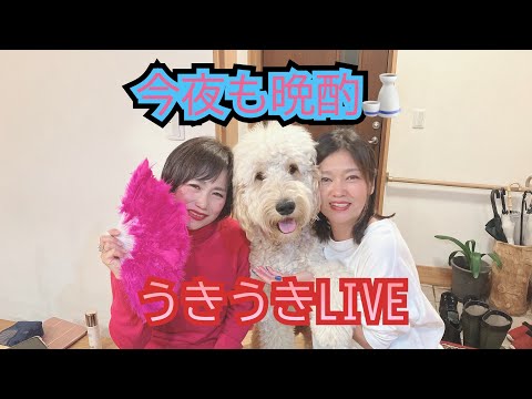2024年3月エミちゃんとコナスちゃん秋田の日本酒を飲む