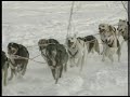 Sled Dog Racing Knowledge Assessment