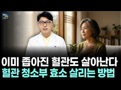내 몸속 혈관 청소부 되살리는 3가지 방법