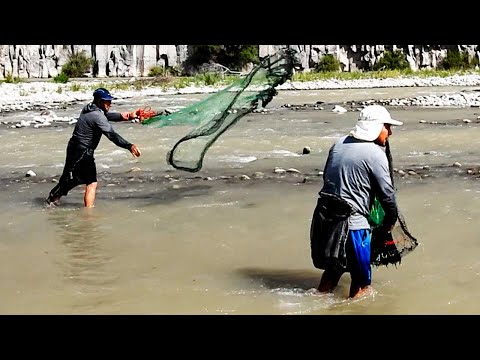 Tres PESCADORES se aventuran en un río para vivir una Jornada ÉPICA de PESCA de CAMARONES GIGANTES