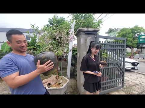 #Ngày đẹp trời  được 2 vợ chồng em trai đến rước cây về chăm...